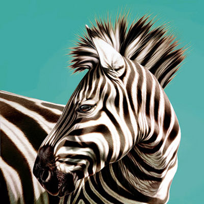Darryn Eggleton Prints