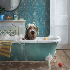 Bathtime, by Stephen Hanson