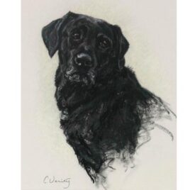Black Lab By Verity