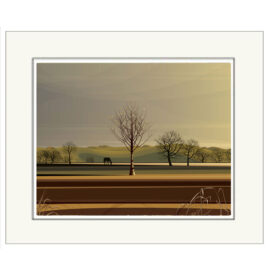 DC Last Light MOUNTED