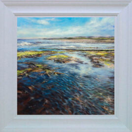 KS Summer Rockpool
