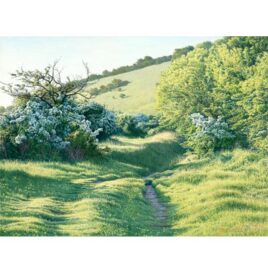Spring Path MEmbden