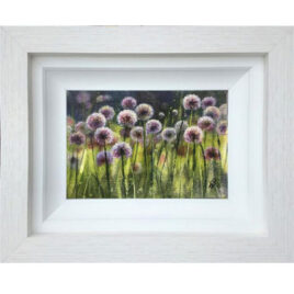 Allium Joy Kara Strachan 1