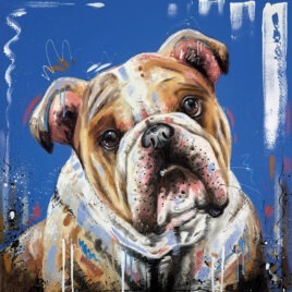 The Hard Stare, by Samantha Ellis