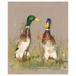 Indian Runner Ducks, by Josie Appleby