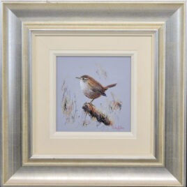 Perched - Jenny Wren