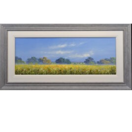 Wildflower Meadow, by Allan Morgan