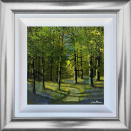 Bluebell Woods, by Nick Potter
