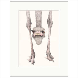 Hanging Out, by Dominique Salm